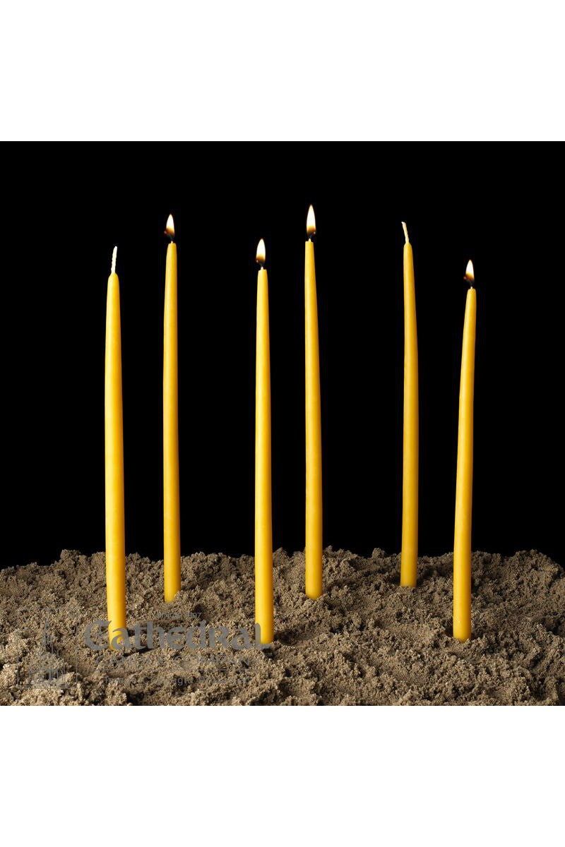 100% Beeswax Devotional Tapers-Church Life-Cathedral Candle-7/16" x 11" (260 Per Box) GG81024110-Michigan Church Supply