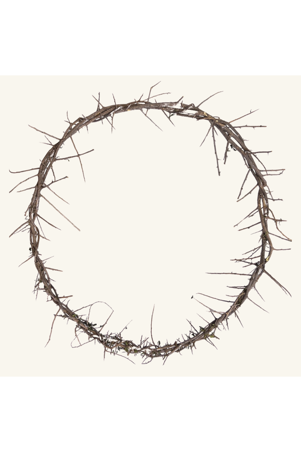 24" Crown of Thorns - FRCOT05-Church Life-Logos Trading Post-Michigan Church Supply