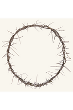 24" Crown of Thorns - FRCOT05-Church Life-Logos Trading Post-Michigan Church Supply