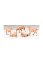 5PC Set Sheep Nativity 5" Fontanini - LI52539-Inspirational Gifts-Fontanini-Michigan Church Supply