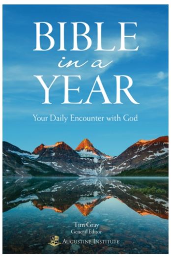 Bible in a Year: Your Daily Encounter with God - IPBIYP-Inspirational Gifts-Ignatius Press-Michigan Church Supply