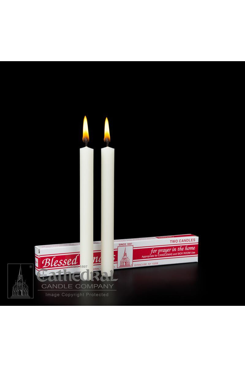 Candlemas Candles-Church Life-Cathedral Candle-25/32" x 7-1/2" (PE) - 51% Beeswax - GG81301901-Michigan Church Supply