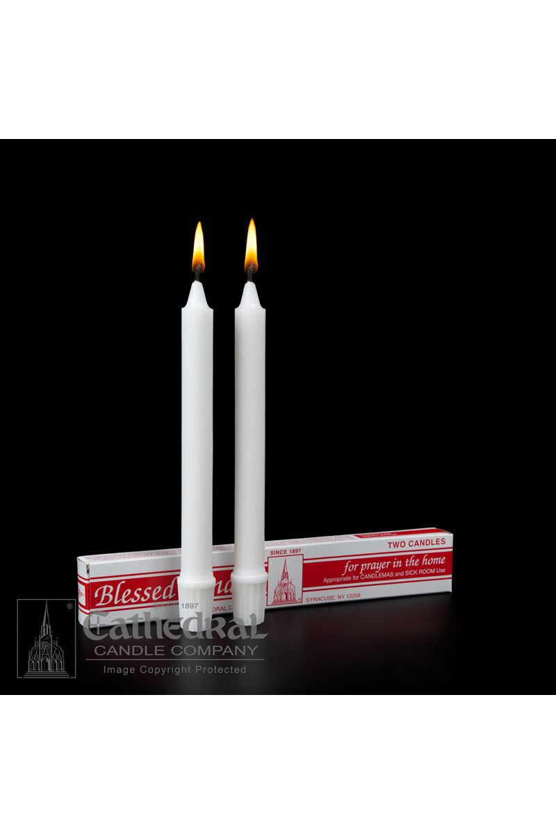 Candlemas Candles-Church Life-Cathedral Candle-25/32" x 8-1/4" (SFE) - Stearine - GG81303601-Michigan Church Supply