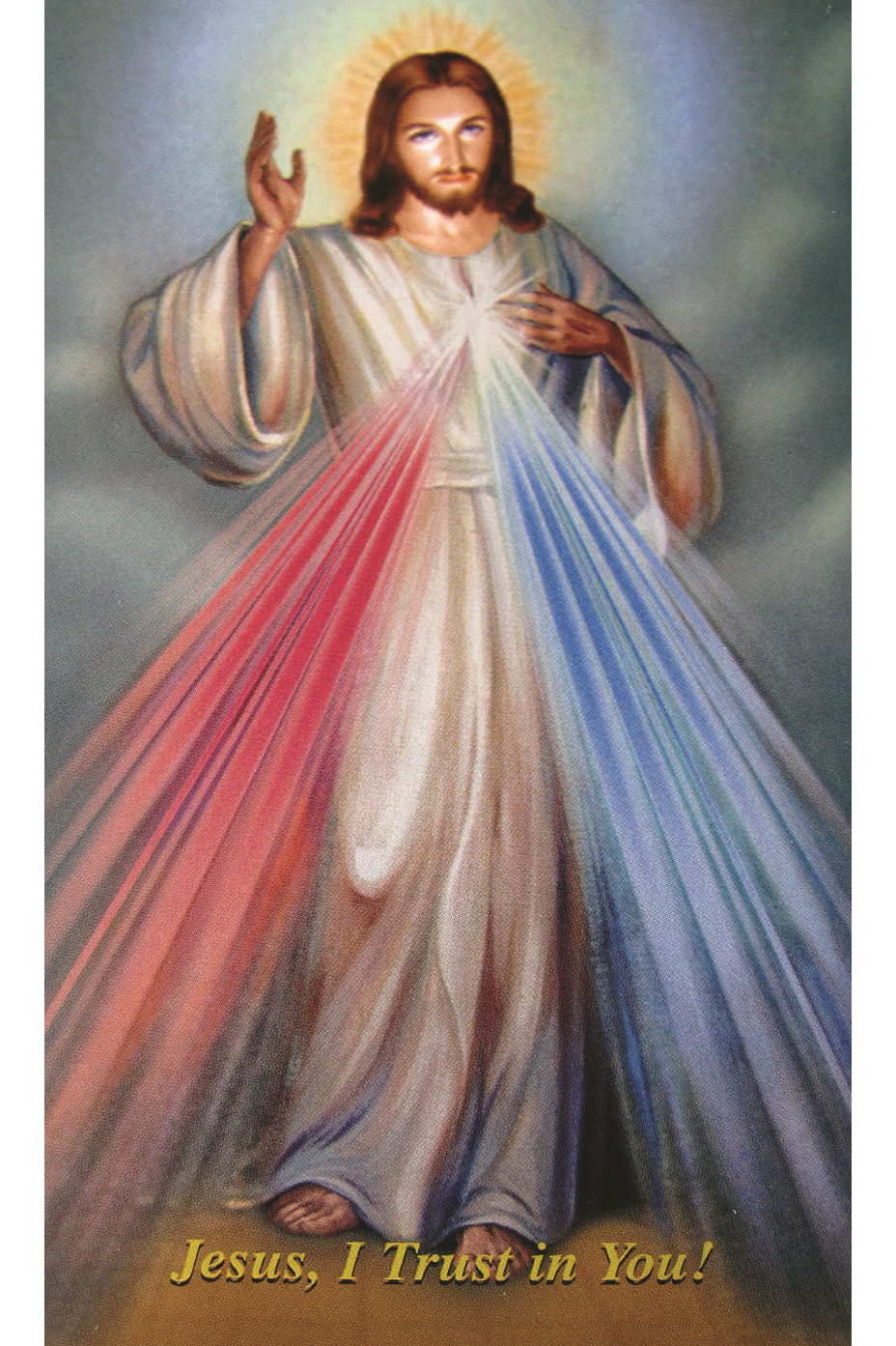 Divine Mercy Holy Card - LAHCDM-Inspirational Gifts-RELIGIOUS ART INC-Paper 100 pk-Michigan Church Supply