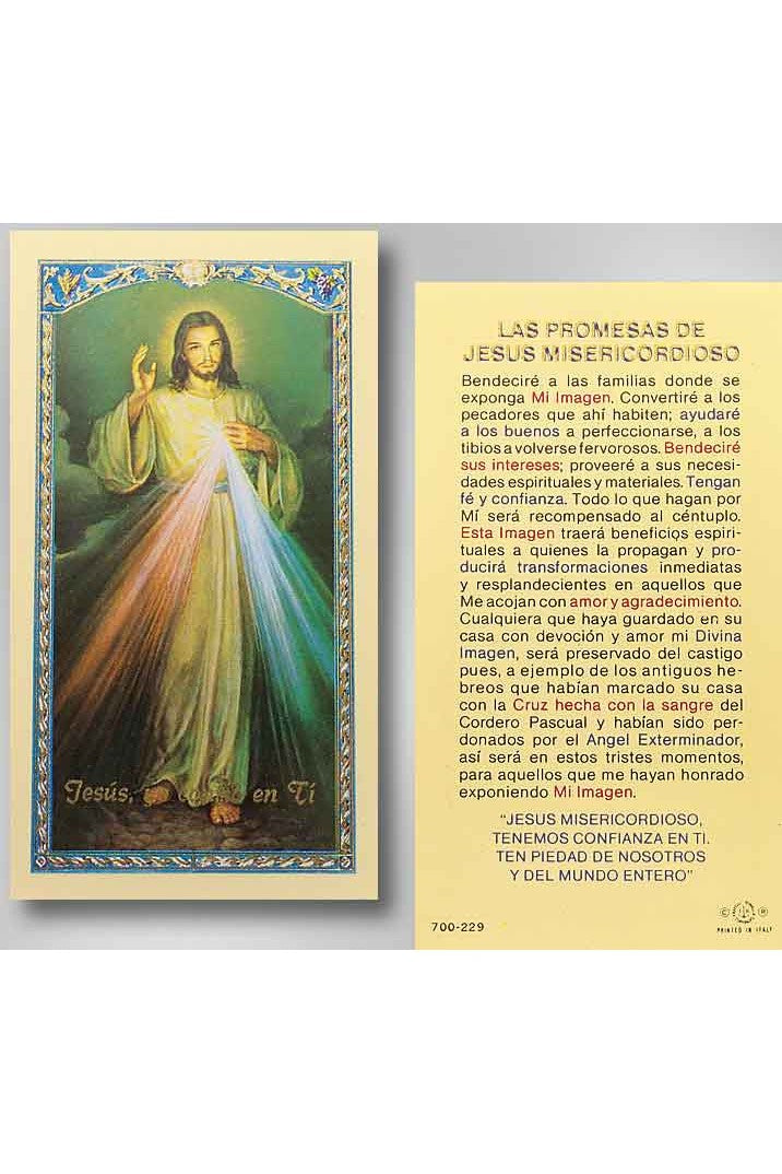 Divine Mercy Las Promesas De Jesus Misericordioso- TA700229-Inspirational Gifts-Hirten-Michigan Church Supply