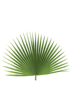 Fan Leaf Palm - JSFAN-Church Life-Palm Gardens-Michigan Church Supply