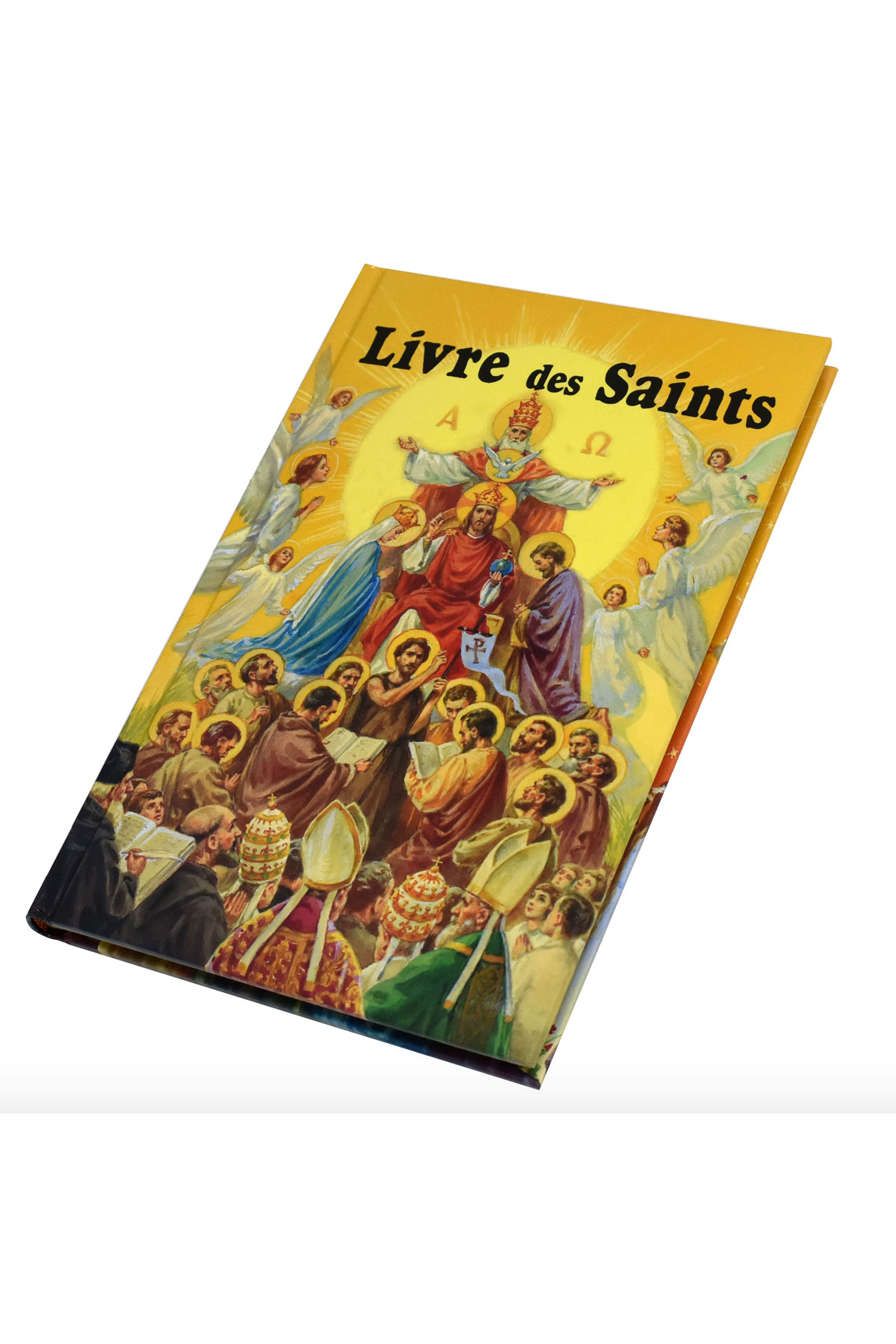 Livre Des Saints En Image (French) - GF23722F-Inspirational Gifts-Catholic Book Publishing Corp-Michigan Church Supply