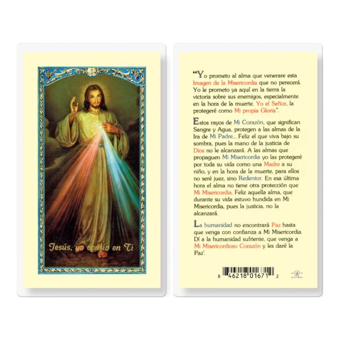 Our Lady of Divine Mercy Nrta. Sra. de la Divina Misericordia - TA700529-Inspirational Gifts-Hirten-Michigan Church Supply