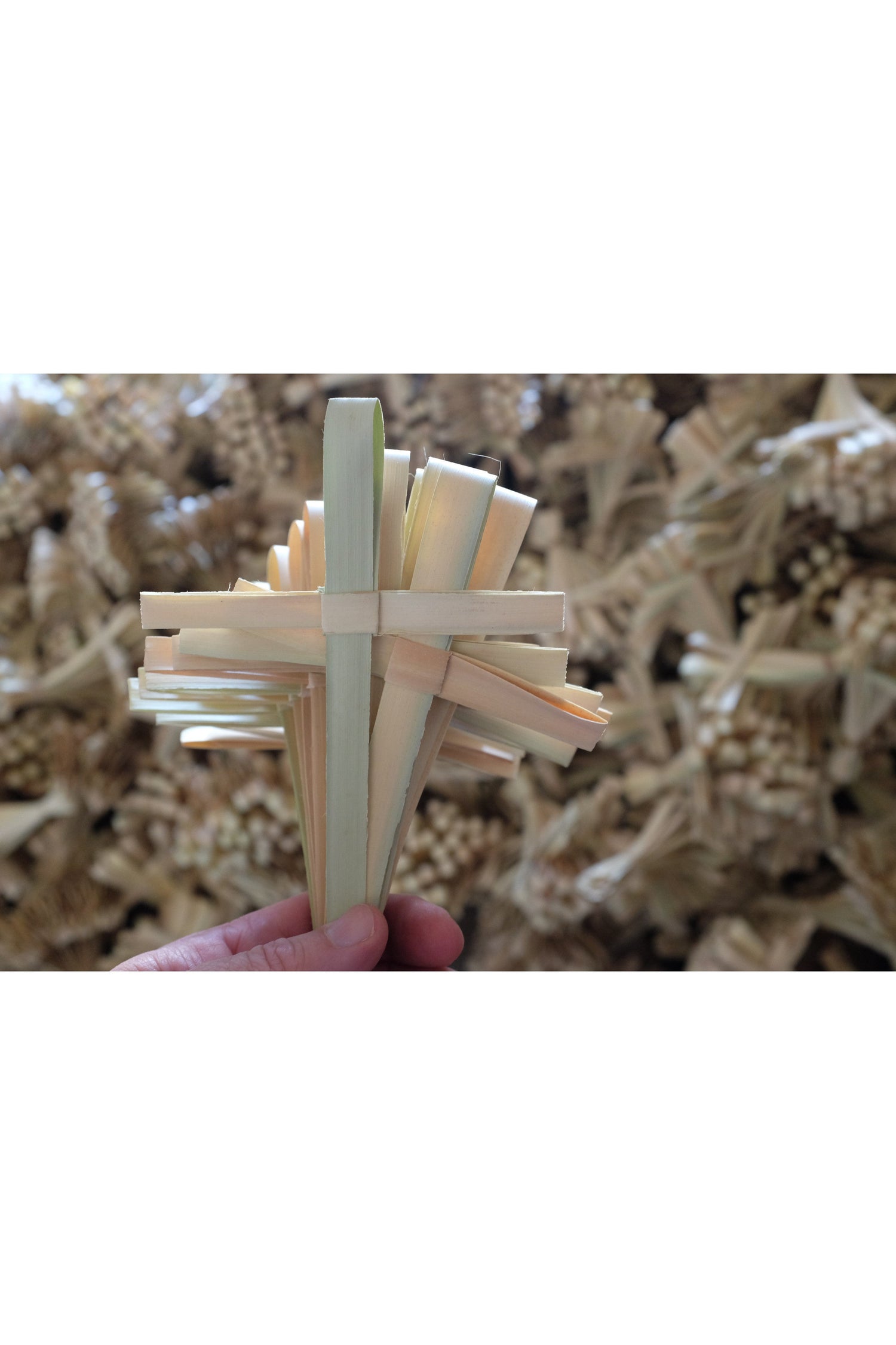 Palm Crosses (dried) - APCROSS-Church Life-African Palms-Michigan Church Supply