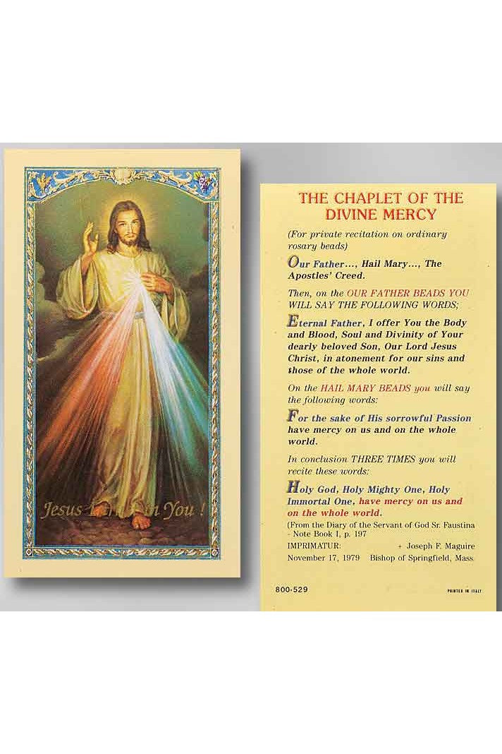 The Chaplet of the Divine Mercy - TA800529-Inspirational Gifts-Hirten-Michigan Church Supply